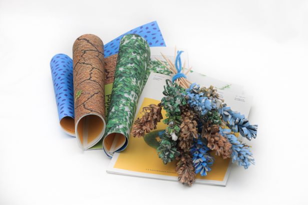 Flores CONAMA por Rosa Montesa #FloresConama