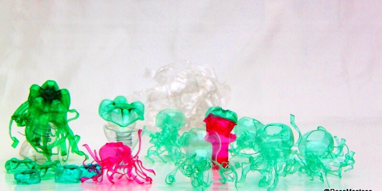 Rosa_Montesa_Medusas_y_flores Rosa_Montesa_Medusas_y_flores