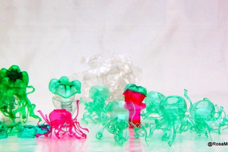 Rosa_Montesa_Medusas_y_flores