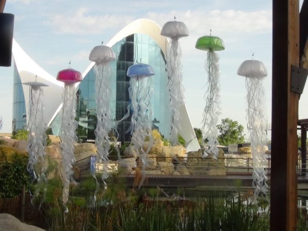 Medusas de colores. Instalación Medusas de colores. Instalación