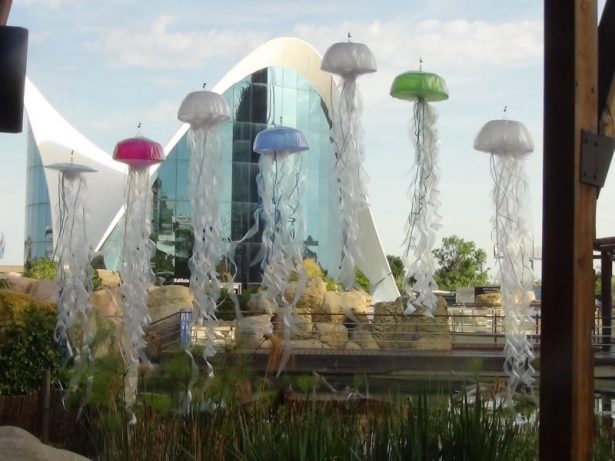 Medusas de colores. Instalación Medusas de colores. Instalación