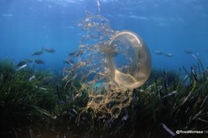 Medusas realizadas con envases de plástico por Rosa Montesa