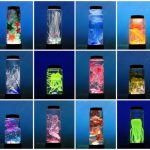 Laboratorio de especies marinas con botellas de plástico PET