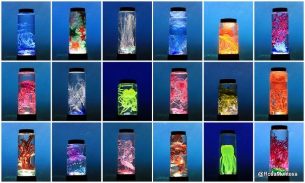 Laboratorio de especies marinas con botellas de plástico PET Laboratorio de especies marinas con botellas de plástico PET