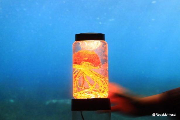 Laboratorio de medusas con botellas de plástico Laboratorio de medusas con botellas de plástico