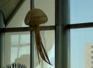 Medusas Voladoras de varetas de madera en el Oceanogràfic