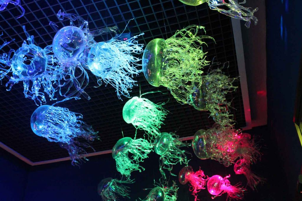 Medusas con envases de plástico PET. Rosa Montesa
