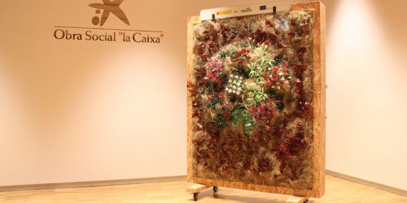 Jardines verticales para la Fundación Bioversidad