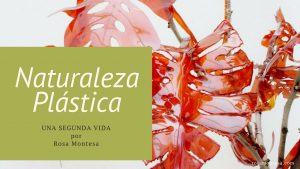 Naturaleza Plástica por Rosa Montesa. Reciclado Creativo