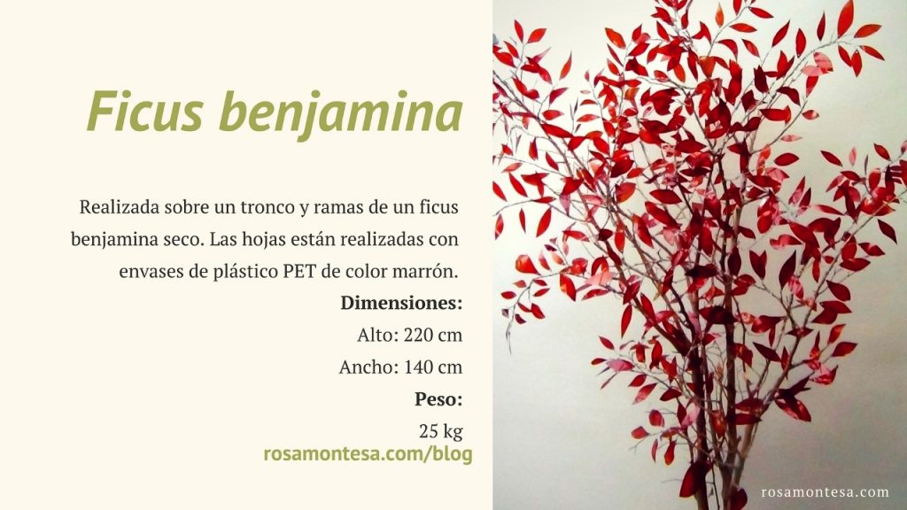Ficus Benjamina. Naturaleza Plástica por Rosa Montesa. Reciclado Creativo