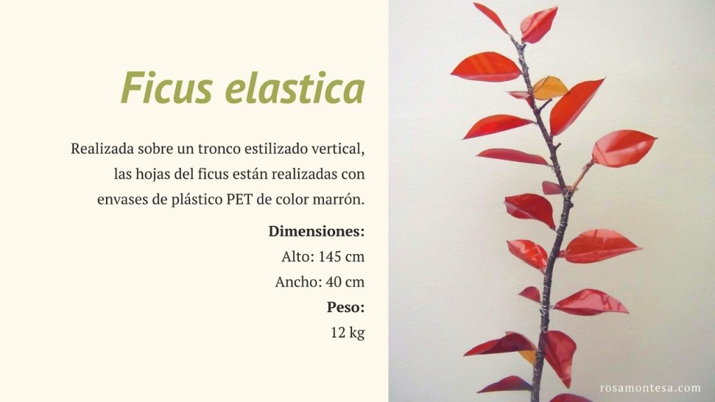 Ficus Elastica. Naturaleza Plástica por Rosa Montesa. Reciclado Creativo