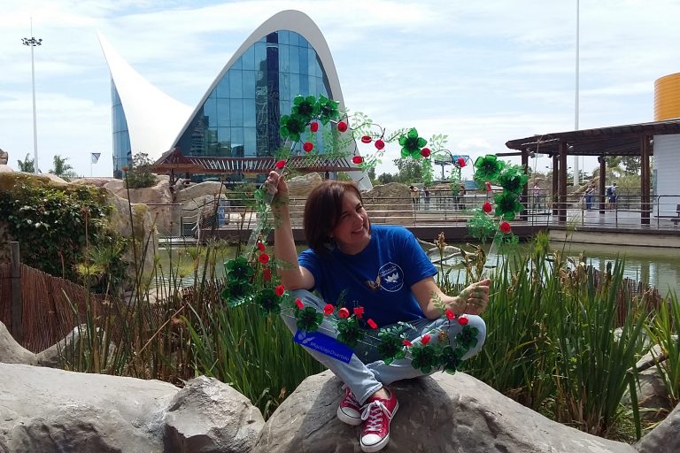 Rosa Montesa - marco de flores con material reciclado