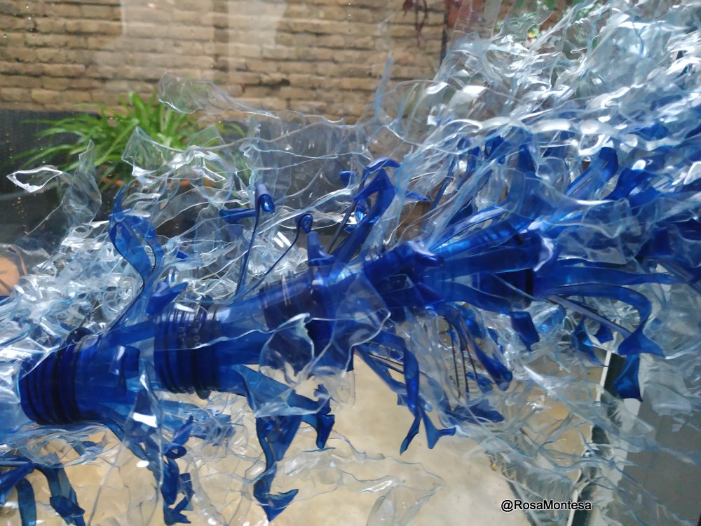 Estrella Belén botellas plástico Oceanogràfic 2018 Rosa Montesa Reciclado Creativo