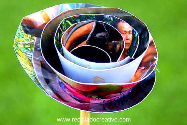 Russafart, flores con fotografías de Eva Ripoll