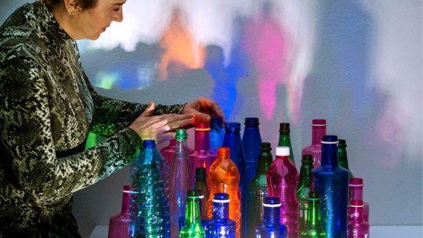 Rosa Montesa con botellas de plástico Rosa Montesa con botellas de plástico