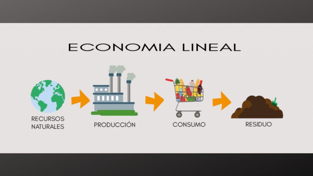 Economía Lineal