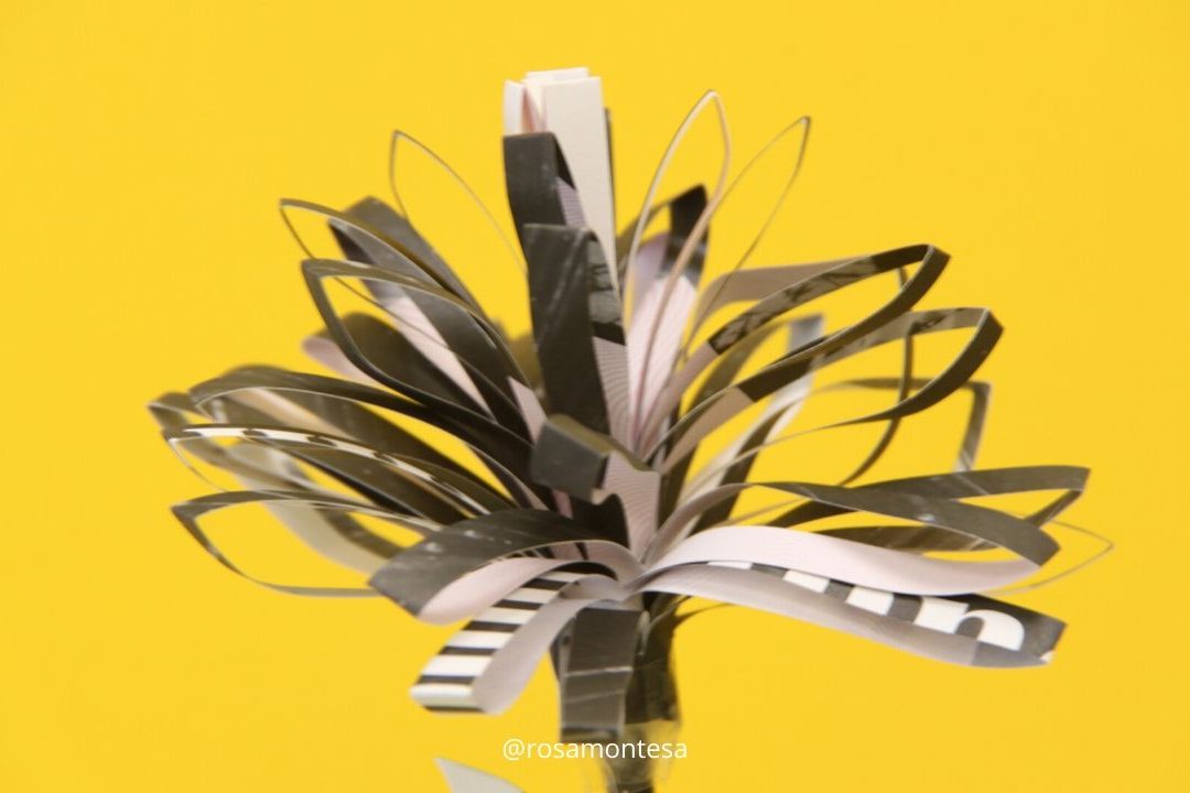 Reciclado de papel y cartón