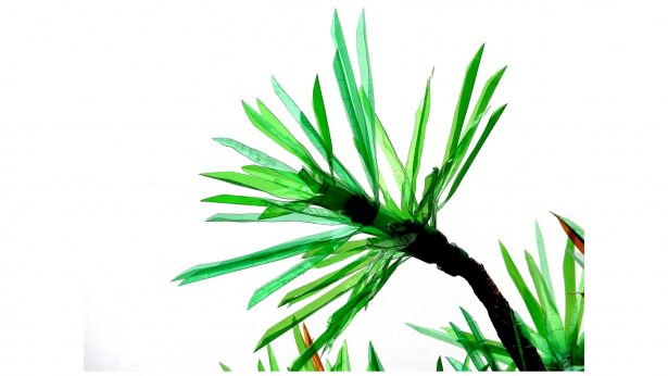 Redivivus PlasticPET Árbol con botellas de plástico PET