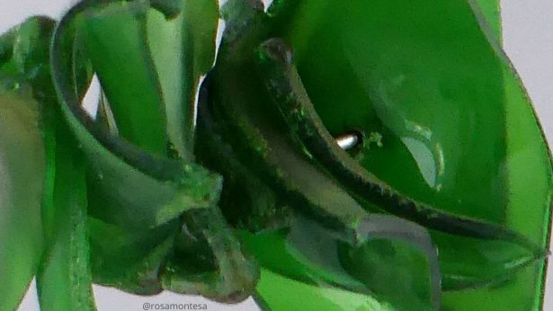 micro plásticos descartados