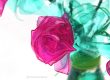 Rosas con envases de plástico por Rosa Montesa Reciclado Creativo