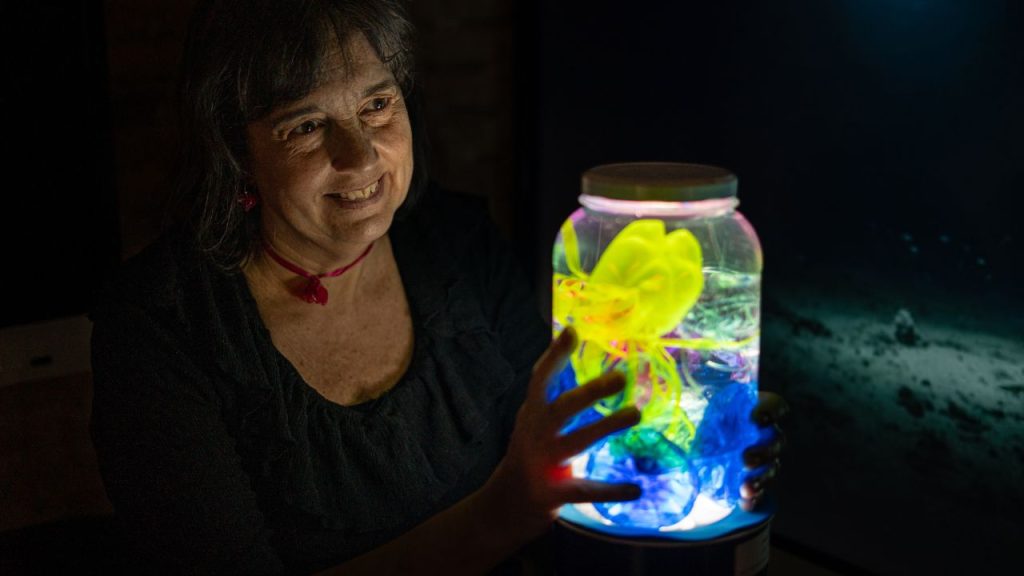 Un mundo marino imaginario. Laboratorio de Reciclado Creativo
